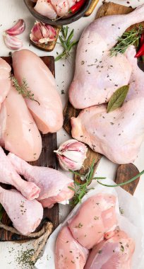 Çeşitli çiğ tavuk eti porsiyonları. Üst görünüm,