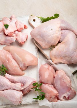 Çiğ tavuk filetosu, but, kanatlar ve bacaklar beyaz arka planda. Üst görünüm.