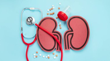 Mavi arka planda böbrek ve farklı haplar. Organ hastalıkları ve tedavisi.