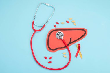 Beyaz arka planda kağıttan yapılmış steteskop ve karaciğer şekli. Üst Manzara. Sağlık ve Tıp Konsepti.
