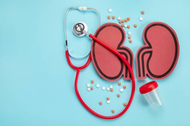 Mavi arka planda böbrek ve farklı haplar. Organ hastalıkları ve tedavisi.