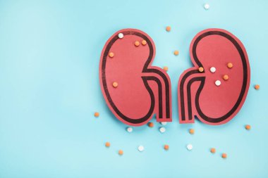Mavi arka planda böbrek ve farklı haplar. Organ hastalıkları ve tedavisi.