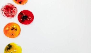 Laboratuvar petri kabıyla arka plan. Mikrobiyoloji bilimi. Üst görünüm, alanı kopyala.