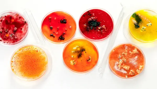 Fond Avec Boîte Pétri Laboratoire Microbiologie Vue Dessus — Photo