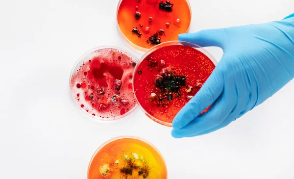 Background with laboratory petri dish. Microbiology science. Top view.