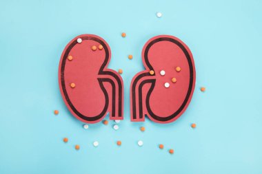 Mavi arka planda böbrek ve farklı haplar. Organ hastalıkları ve tedavisi.