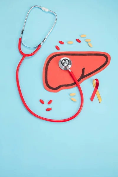Stethoscope Liver Shape Made Paper White Background Top View Healthcare — Stock Photo, Image
