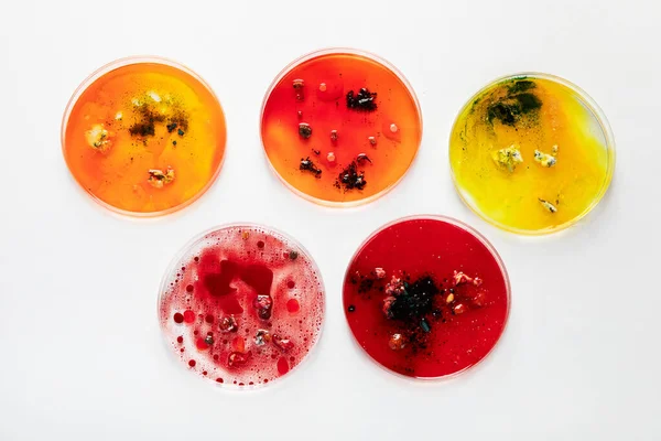 Background with laboratory petri dish. Microbiology science. Top view.