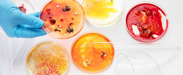 Фон с лабораторной чашкой Петри. Микробиология. Вид сверху.