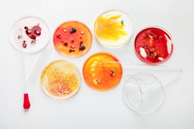 Laboratuvar petri kabıyla arka plan. Mikrobiyoloji bilimi. Üst görünüm.