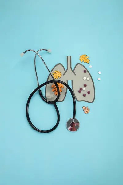 Lungs Paper Decorative Model Medical Stethoscope Blue Background World Tuberculosis — Stock Photo, Image