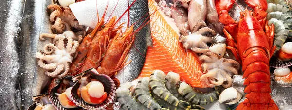 Assortment Fresh Raw Fish Seafood Healthy Balanced Diet Cooking Concept — Stock Photo, Image