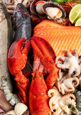 Taze çiğ balık ve deniz ürünleri çeşitleri. Sağlıklı ve dengeli diyet ya da yemek pişirme konsepti. Üst görünüm.