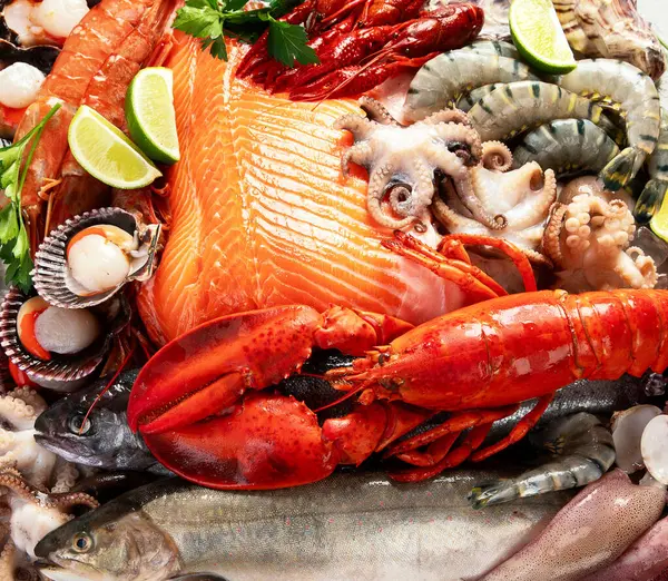 Taze çiğ balık ve deniz ürünleri çeşitleri. Sağlıklı ve dengeli diyet ya da yemek pişirme konsepti. Üst görünüm.