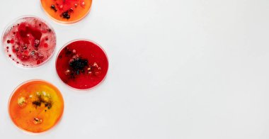 Laboratuvar petri kabıyla arka plan. Mikrobiyoloji bilimi. Üst görünüm, alanı kopyala.