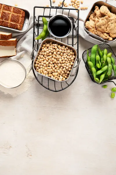 Diverse Sojaproducten Met Soja Tofu Sojasaus Sojamelk Een Lichte Ondergrond — Stockfoto