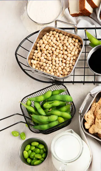 Diverse Sojaproducten Met Soja Tofu Sojasaus Sojamelk Een Lichte Ondergrond — Stockfoto