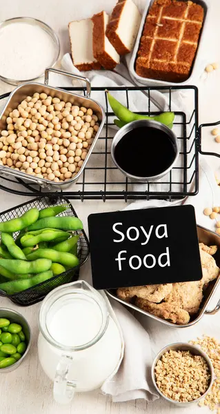Various Soy Products Soy Bean Tofu Soy Sauce Soy Milk — Stock Photo, Image