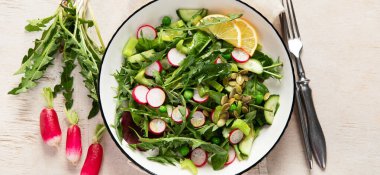 Karahindiba yapraklı bahar vejetaryen salatası, turp, ahşap kaplama salatalık. Üst manzara, panorama