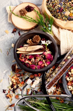 Alternatif ilaç varyasyon hapları ve bitkiler. Homeopati tıp konsepti. Kopyalama alanı olan üst görünüm