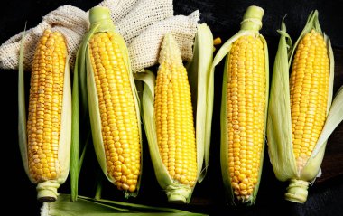 Çiğ mısır ya da koyu arkaplanda mısır. Yemek konseptini hasat et. Üst görünüm, düz görünüm, kopyalama alanı