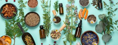 Yeşil arka planda Homeopatik çiçek ve şifalı bitkiler. Alternatif bitkisel ilaçlar. Üst Manzara. Panorama.