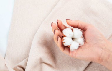 Kuru pamuk çiçek dalı, bej keten peçete bej arkaplanda fotokopi alanı ile üst görünüm. 