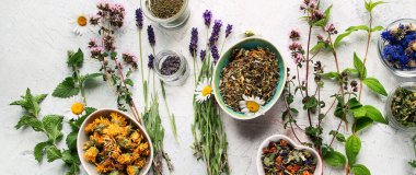 Bitkisel çay çeşitleri. Doğal şifalı bitkiler. Üst Manzara. Panorama.