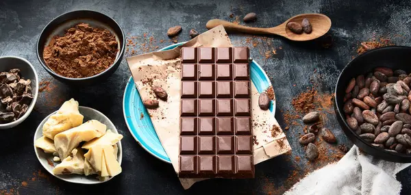 Kakao fasulyesi, pudra, kakao yağı ve çikolata. Üst Manzara. Kopyalama alanı olan panoram.