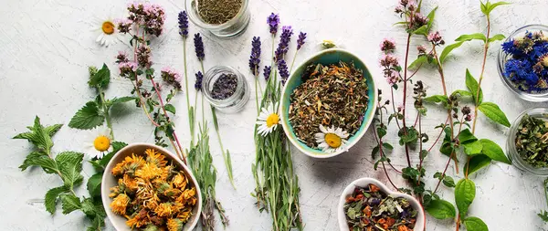 Bitkisel çay çeşitleri. Doğal şifalı bitkiler. Üst Manzara. Panorama.