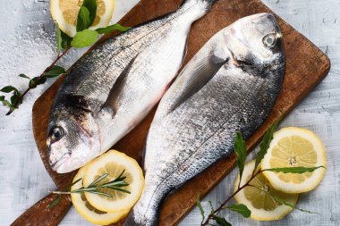 Gri arka planda baharatlı çiğ dorado balığı. Üst görünüm. 
