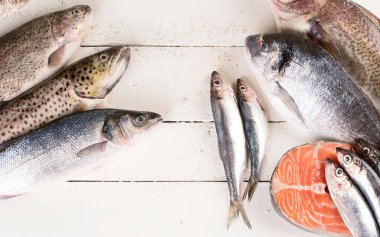Beyaz ahşap arka planda taze balık ve deniz ürünleri. Sağlıklı beslenme. Üst görünüm.