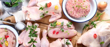 Farklı türde taze tavuk eti. Üst manzara, düz yatak, panorama, pankart