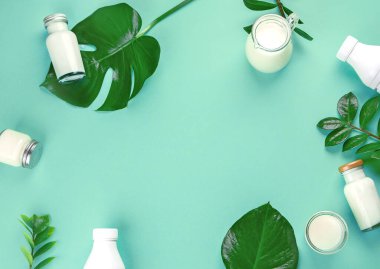 Süt ve malzeme bazlı çeşitli vejetaryen bitkileri. Sütsüz süt yerine içecek. Sağlıklı vegan ve vejetaryen diyet kavramı. Kopyalama alanı olan üst görünüm