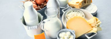 Taze tarım ürünlerinin farklı türleri. Kalsiyum açısından zengin yiyecekler. Panorama, pankart.