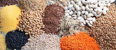 Gri arka planda çeşitli doğal tahıllar. Üst Manzara. Panorama, bayrak 