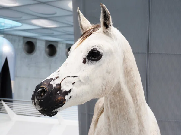Estugarda Alemanha Outubro 2022 Cavalo Pelúcia Que Representa Início Transporte — Fotografia de Stock