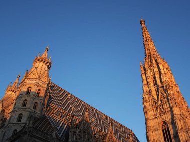 St. Stephen Katedrali 'nin çatısı batan güneşle aydınlanıyor. St. Stephen Katedrali Viyana 'daki en önemli dini binadır..