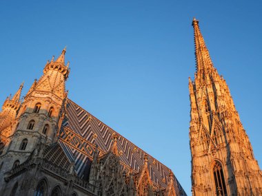St. Stephen Katedrali 'nin çatısı batan güneşle aydınlanıyor. St. Stephen Katedrali Viyana 'daki en önemli dini binadır..