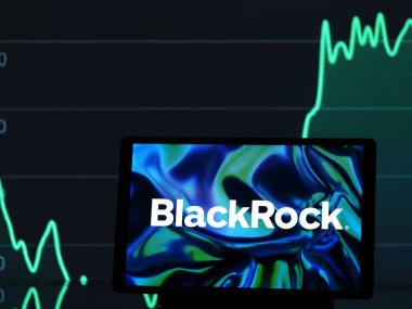 Bavyera 'da. Almanya - 26 Mart 2025: Bu fotoğraf illüstrasyonunda, BlackRock, Inc. logosu bir monitörde gösterildi.