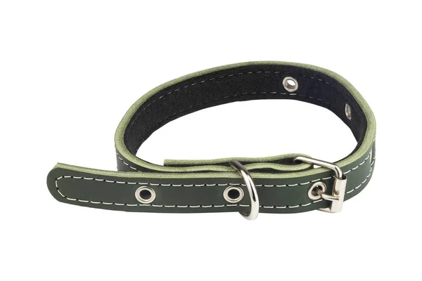 Leather Dog Collar Isolated White Background — Stock Photo, Image