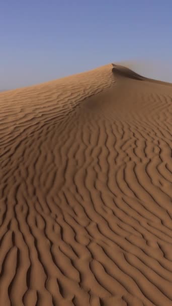 Sabbia Che Soffia Dune Sabbia Nel Vento Deserto Del Sahara — Video Stock