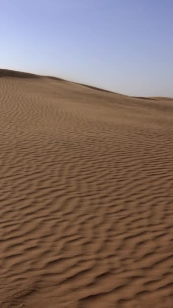 Arena Que Sopla Sobre Dunas Arena Viento Desierto Del Sahara — Vídeos de Stock