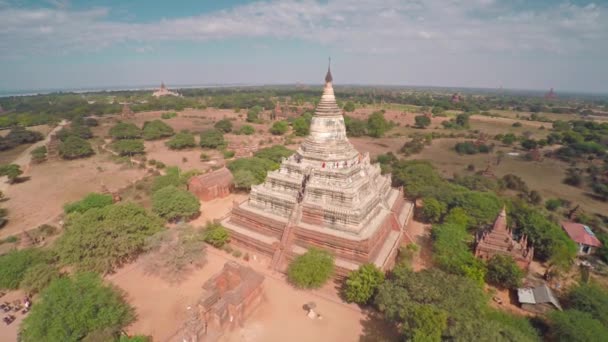 Survoler Pagode Les Temples Shwesandaw Bagan Myanmar Birmanie — Video