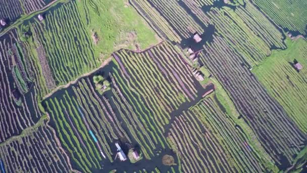 Пролетая Над Плавающими Садами Озере Инле Бирма — стоковое видео