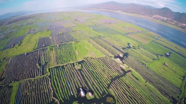 ミャンマー インレー湖の空中庭園を飛ぶ4K — ストック動画