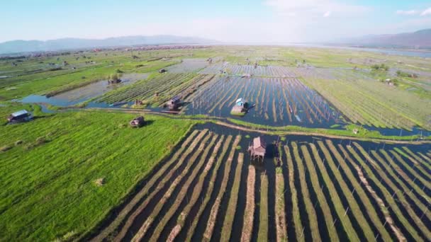 Πετώντας Πάνω Από Πλωτά Κήπους Στη Λίμνη Inle Μιανμάρ Βιρμανία — Αρχείο Βίντεο
