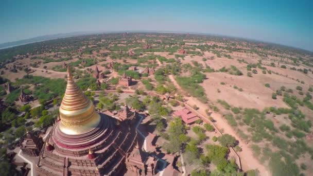 ミャンマーのバガンにあるDhamma Pagodaと寺院を飛ぶ — ストック動画