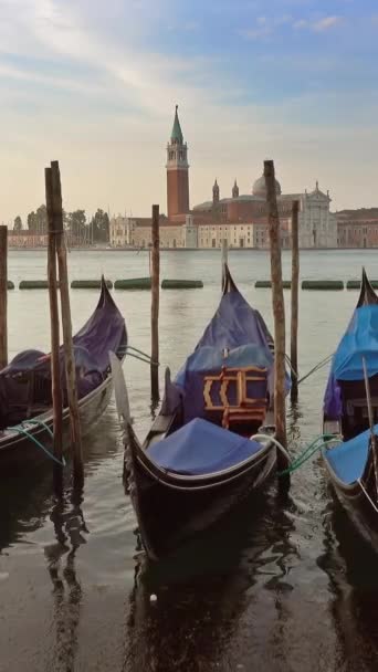 Traditional Gondolas Canal Grande San Giorgio Maggiore Church Background Morning — Video Stock