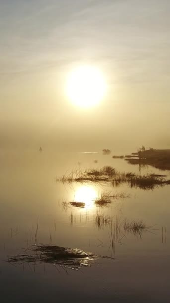 Flight Surface River Fog Dawn Vertical Video — Stock videók
